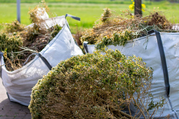 Best Yard Cleanup Services  in Venice, FL